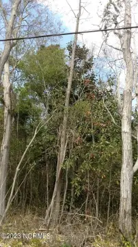 Rocky Point Land For Sale