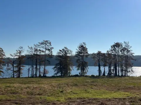 Waterfront Lot on Toledo Bend
