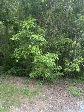 Residential Land in Milligan Area