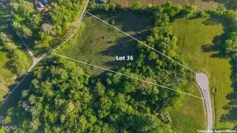 Tennessee Mountain Land for Sale