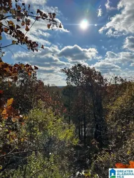 Residential Lot with Expansive View