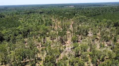 Commercial Land With Highway Frontage