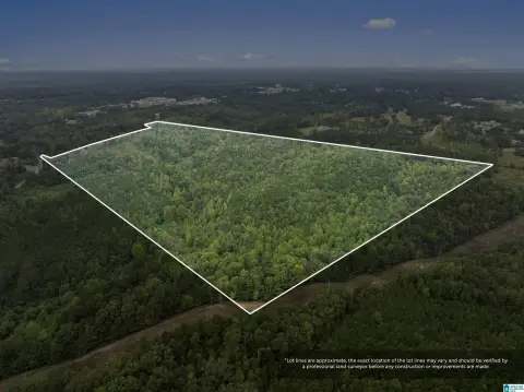 Undeveloped Acreage in Winston County