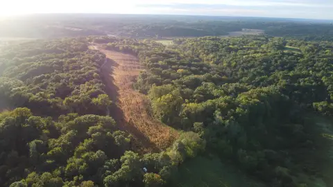 Hunting Land with Mature Timber