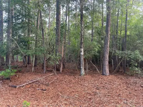 Residential Lot in Gated Community