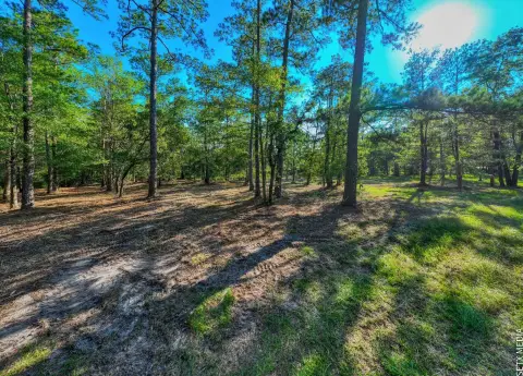 Waterfront Lot in Rayburn Country