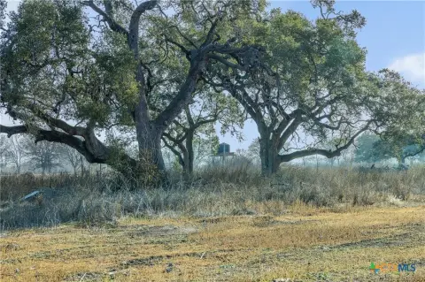 Half-Acre Lot Near San Marcos River