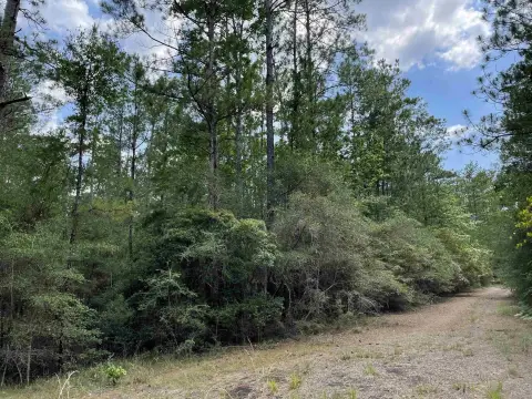 Secluded Lot in Rayburn Country