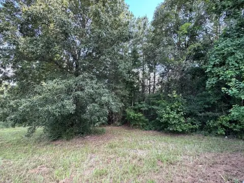 Wooded Land Tract for Custom Build
