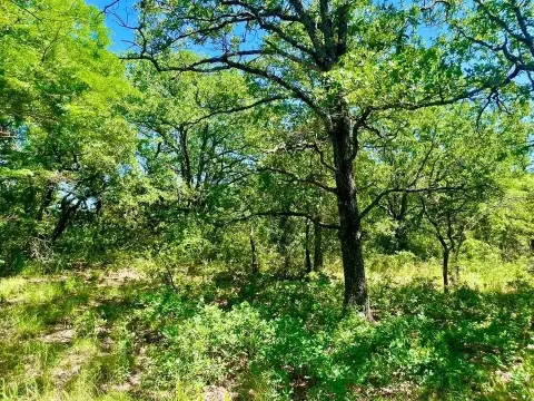 Deed-Restricted Equestrian Land Lot