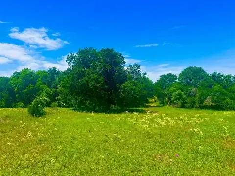 Ready-to-Build Pasture Lot