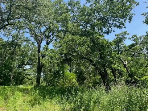 Deed-Restricted Ranch Home Lot