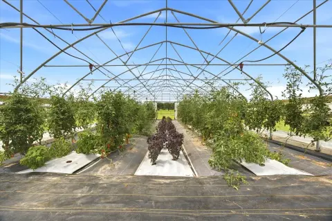 Turnkey Specialty Farm with Irrigation