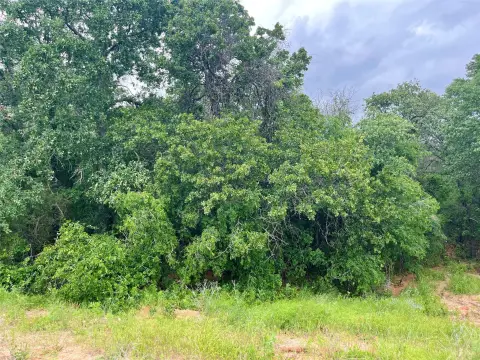 Deed-Restricted Country Home Lot
