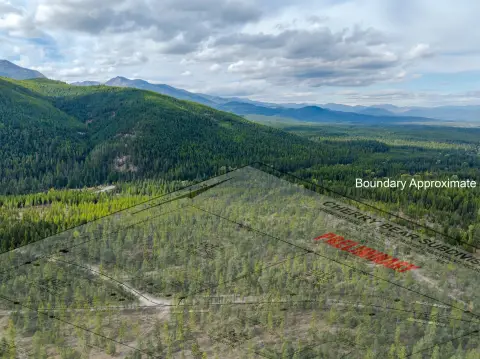 Forest-Bordering Recreation Land