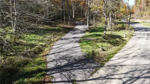 86 Acres in Lower Turkeyfoot