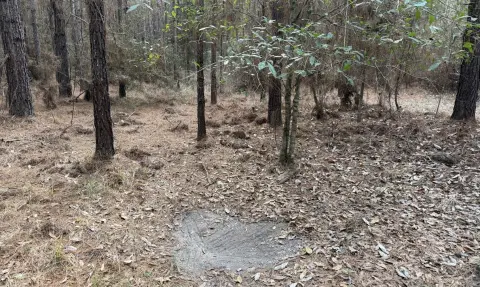 New Brockton Vacant Land For Sale