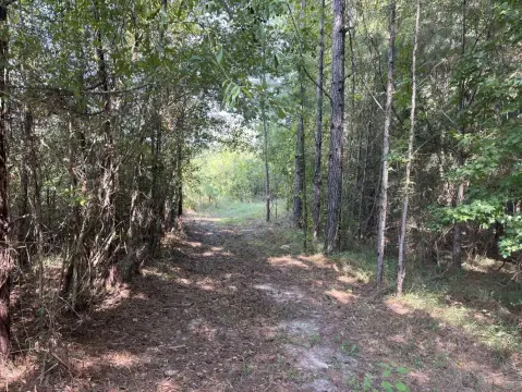 Land for Timber and Recreation