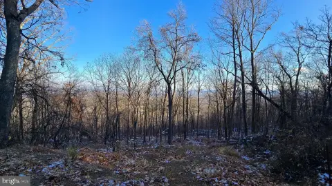 HEDGESVILLE, WV Mountain View Homesite