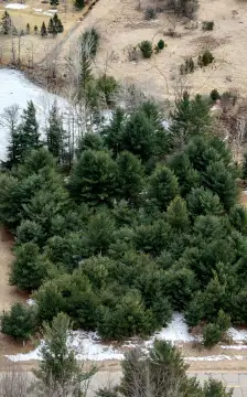 Residential Lot in Sugar Springs