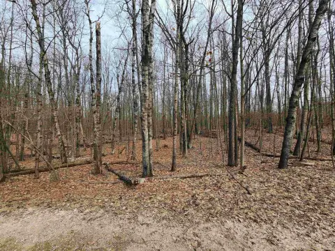 Wooded Lot in Recreational Association