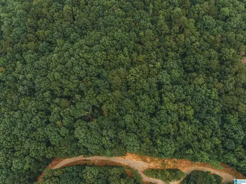 Cheaha Mountain Acreage Opportunity