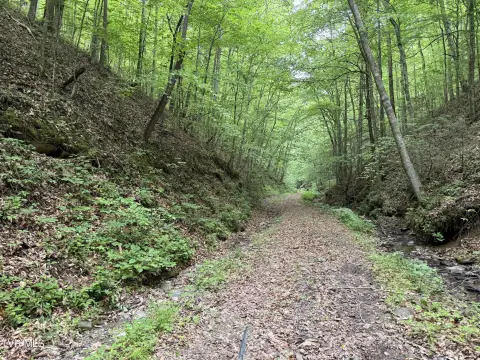 Rogersville Land with Natural Features