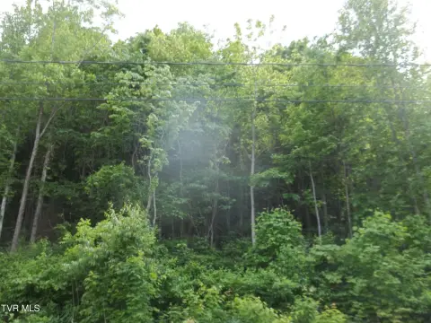 Residential Land in Mount Carmel