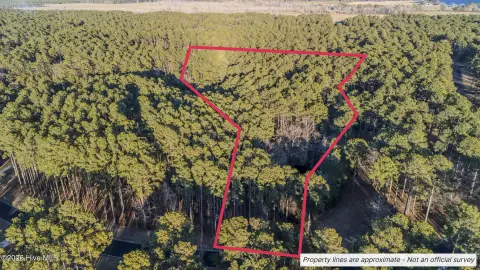 2.4-Acre Homesite Near Ocean