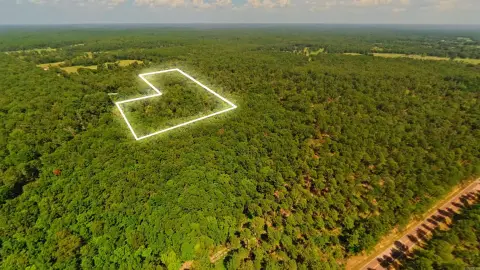 Wooded Land Bordering National Forest