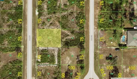 Residential Land in Placida, FL