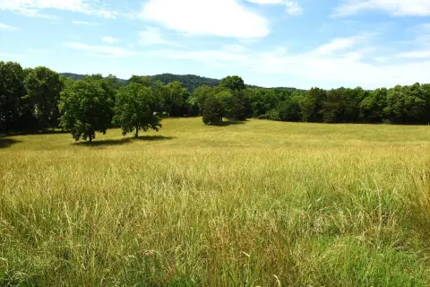 Fenced Horse Farm with Four-Stall Barn
