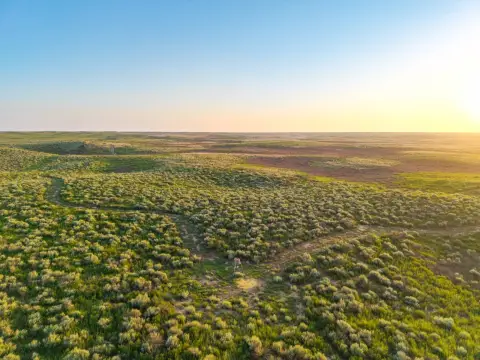Recreational Hunting Land Tract