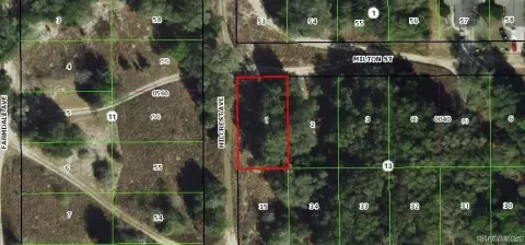 Wooded Lot in Inverness, FL