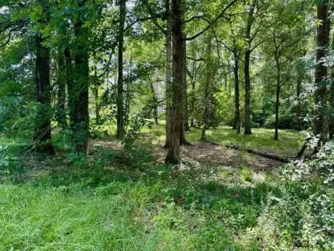 Wooded Lots in Hunters Creek