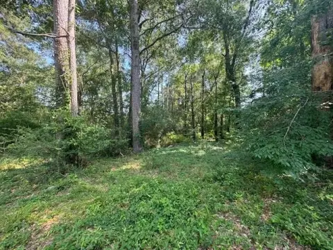 Wooded Lots in Hunters Creek