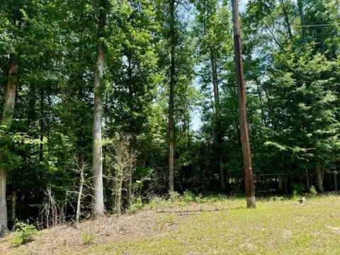 Land Near Steinhagen Lake