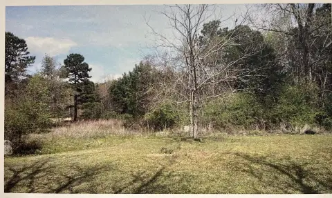 Mount Pleasant Land For Sale