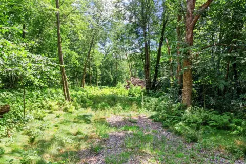 Wooded Residential Building Lot