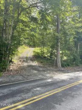 Wooded Hunting Land with Driveway