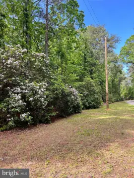 Secluded Land Parcel in Heathsville