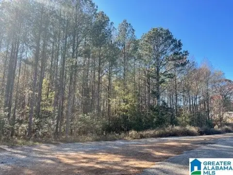 Unrestricted Wooded Acreage in Talladega