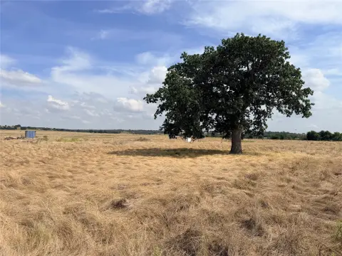 Rolling Hunting Land