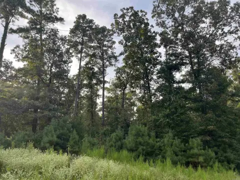 Land Adjoining Crater of Diamonds State Park