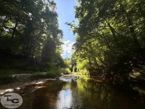 Waterfront Hunting Land