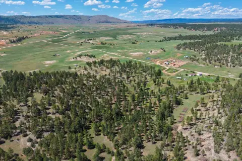 Ranch Property with Livestock Facilities
