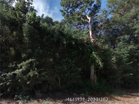 Vacant Land in Key Largo