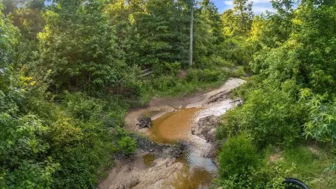 Secluded Acreage Near National Forest