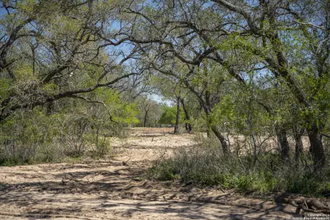 Natalia, TX 11.08-Acre Land