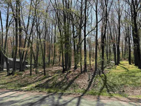 Iola, WI 0.5-Acre Lot